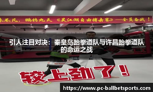 引人注目对决:秦皇岛跆拳道队与许昌跆拳道队的命运之战